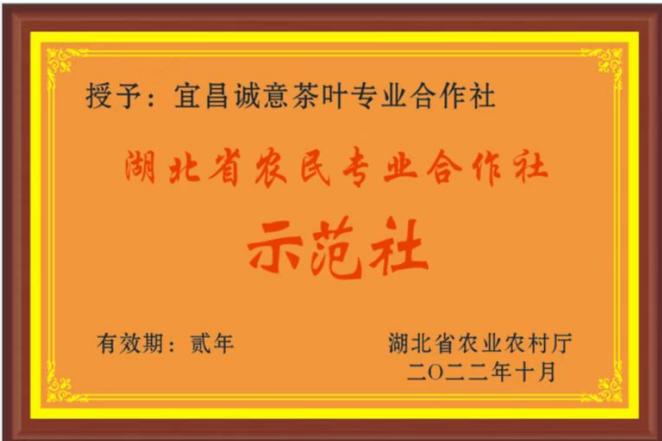 湖北省农民专业合作社示范社